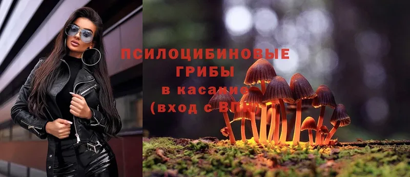 где купить наркоту  Неман  Псилоцибиновые грибы Psilocybe 